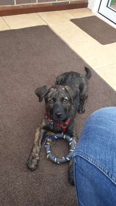 Lieblingsbild-Beitrag-Bild