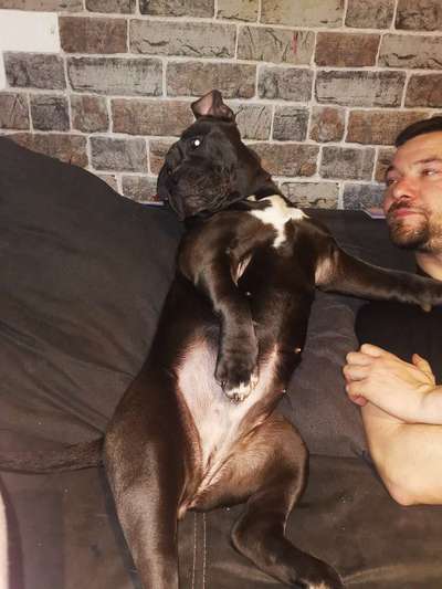 Fotochallenge Nr.65-Beitrag-Bild