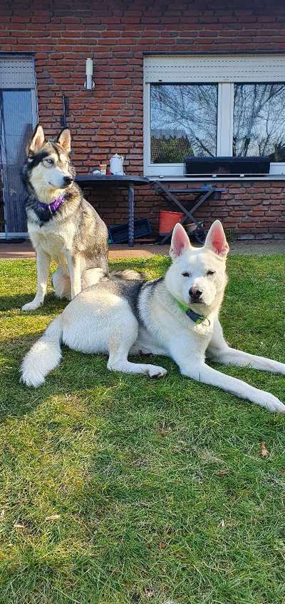 Lieblingsbild-Beitrag-Bild