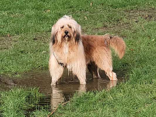 35. Handy Foto Challenge - Das nasse Element-Beitrag-Bild