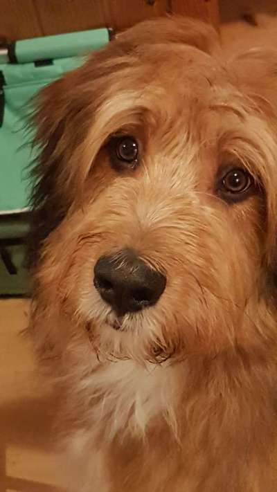 Lieblings Fotos-Beitrag-Bild