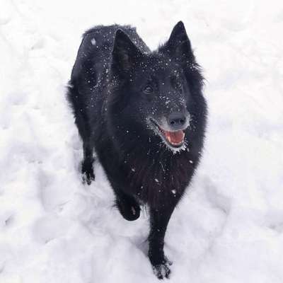 Susanne's Profilbild