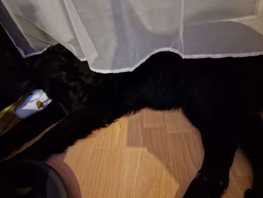 Doppelgänger gesucht !-Beitrag-Bild