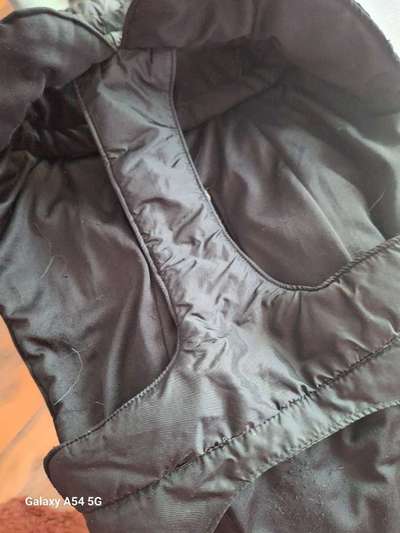 Hunde -  Wintermantel von Trixie  25€ Abholung 2542 Kottingbrunn, Versand möglich-Beitrag-Bild