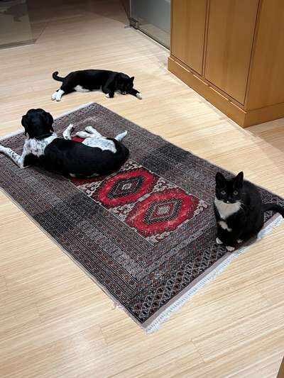 Handy-Foto-Challange Nr. 8-Beitrag-Bild