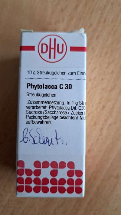 Scheinträchtigkeit-Beitrag-Bild