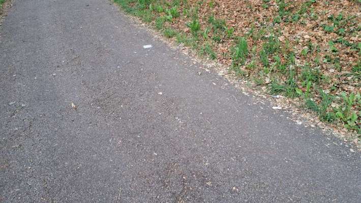 Giftköder-GLASSCHERBEN-Bild