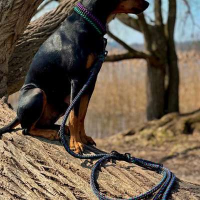 aktuelles Foto Gruppe Wandern und Outdoor