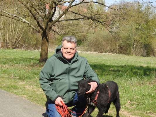 Hundetreffen-Spaziergänge-Bild