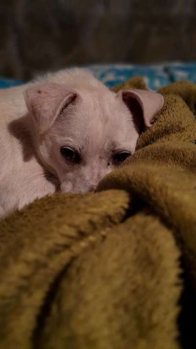 Schlafzeit!💖-Beitrag-Bild