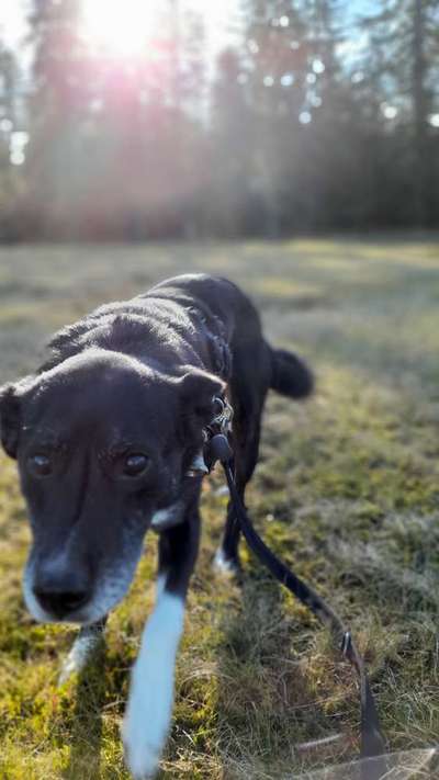 Fotochallange Nr. 57     PORTRÄT.   Beendet!!!!!!!!-Beitrag-Bild