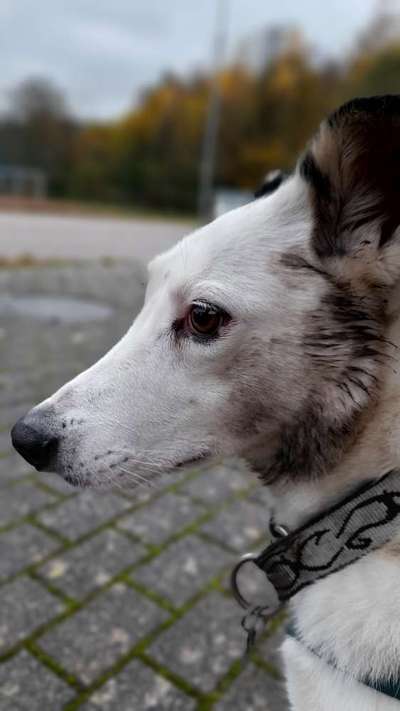 Fotochallange Nr. 57     PORTRÄT.   Beendet!!!!!!!!-Beitrag-Bild