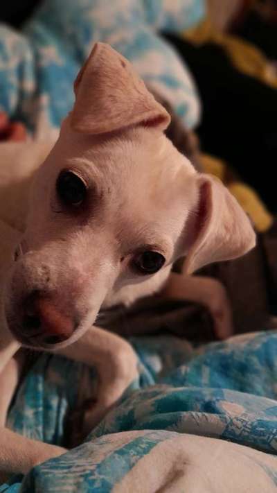 Fotochallange Nr. 57     PORTRÄT.   Beendet!!!!!!!!-Beitrag-Bild