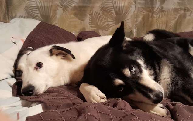 Schlafzeit!💖-Beitrag-Bild