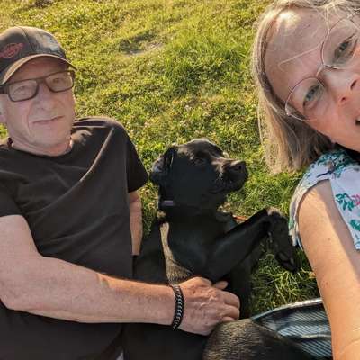 Hundetreffen-Treffen zum Spielen und Üben gesucht-Profilbild