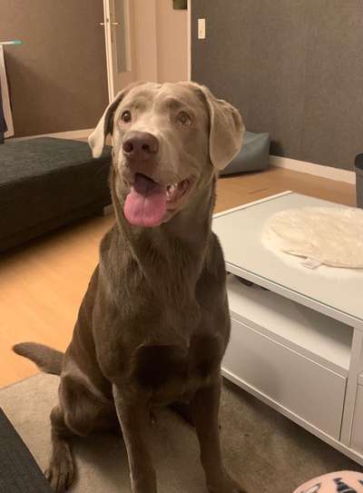 Lieblingsbild-Beitrag-Bild