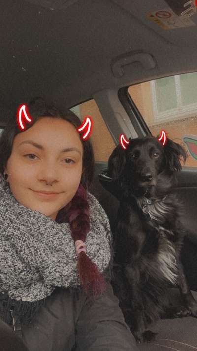 TierschutzhundeStammtisch🐕-Beitrag-Bild