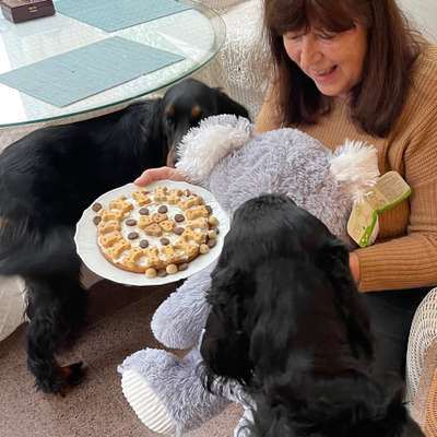 Hundetreffen-Spielen im großen Garten