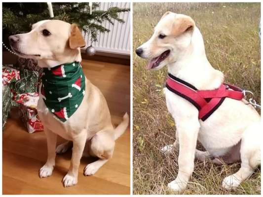 28. Handy-Fotochallenge - Damals und heute-Beitrag-Bild