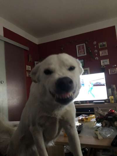 Her mit dem Grimassen-Beitrag-Bild