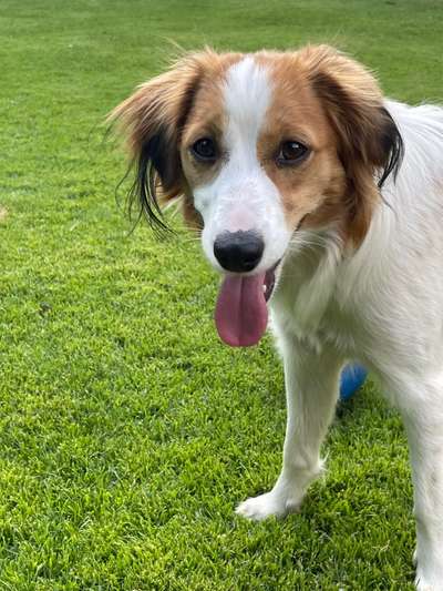 Tongue Out Tuesday-Beitrag-Bild