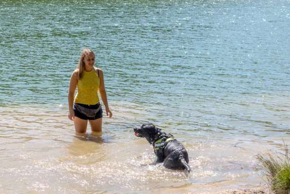 Challenge 33 - Du und dein Hund-Beitrag-Bild