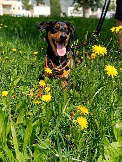 Fotochallenge Nr. 56 - geliebte Senioren-Beitrag-Bild