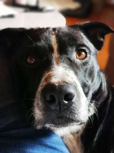 Fotochallange Nr. 57     PORTRÄT.   Beendet!!!!!!!!-Beitrag-Bild