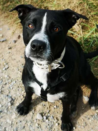 Lieblingsbild-Beitrag-Bild