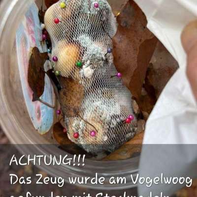 Giftköder-Gefährliche Köder am Vogelwoog-Bild