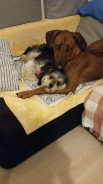 Challenge 30  Freundschaft-Beitrag-Bild