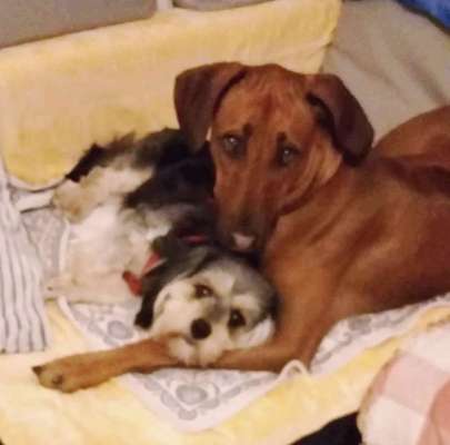 Challenge 30  Freundschaft-Beitrag-Bild