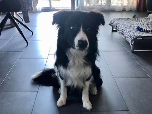 Lieblings Fotos-Beitrag-Bild