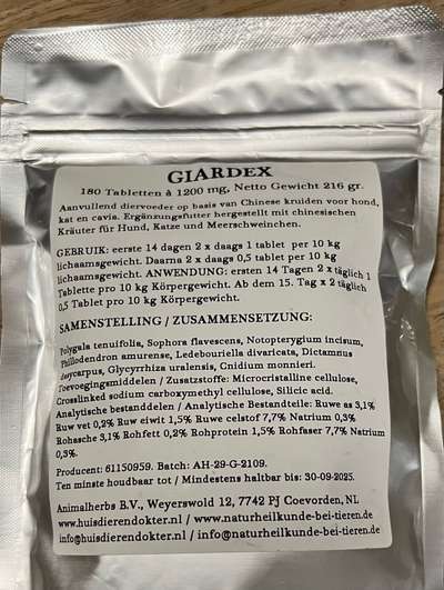 Giardien-Beitrag-Bild