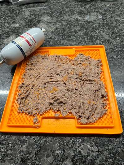 Ist mein Hundefutter gut?-Beitrag-Bild