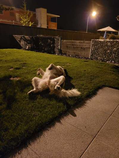 Foto Challenge - Zeigt her eure Bäuche-Beitrag-Bild