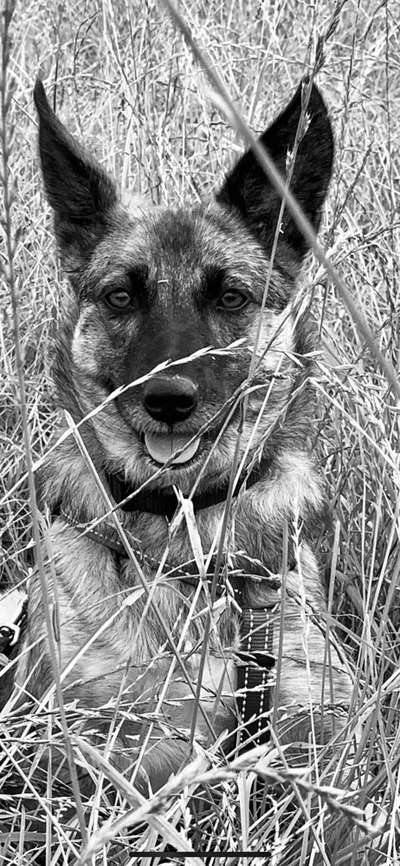 Foto-Challenge 76: Foto in Schwarz-Weiss-Beitrag-Bild