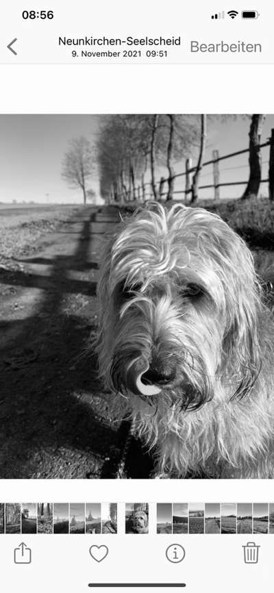 Foto-Challenge 76: Foto in Schwarz-Weiss-Beitrag-Bild