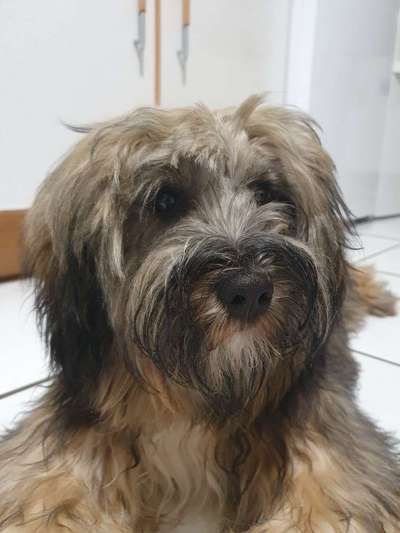 Zeigt mir die tollste Nahaufnahme von eurer Fellnase-Beitrag-Bild