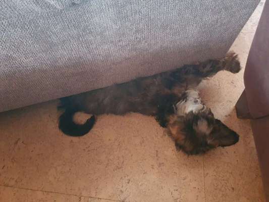 Die unbequemsten und lustigsten Schlafpositionen-Beitrag-Bild