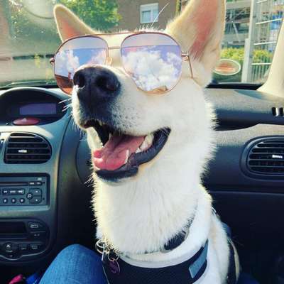 Immer lächeln !-Beitrag-Bild