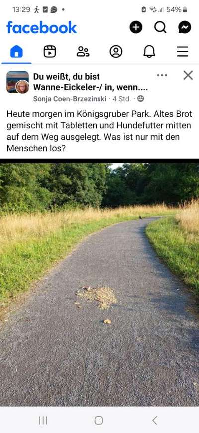 Giftköder-Tabletten mit Brot und Hundefutter-Bild