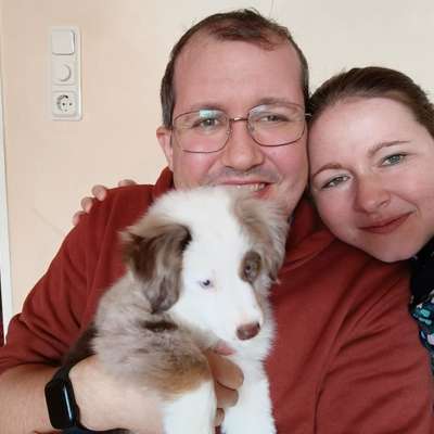 Hundetreffen-Gassirunde / Spielrunde mit Mini Aussiwelpe (12 Wochen)-Bild