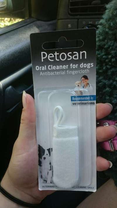 Zahnpflege... putzen, Spray, Gel oder Pulver?-Beitrag-Bild