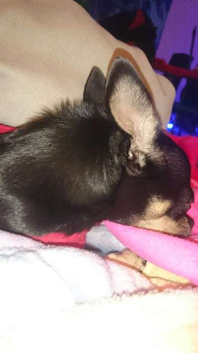 Blick fürs Detail!-Beitrag-Bild