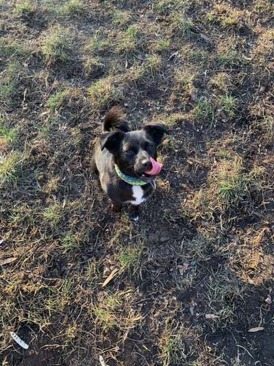 Tongue Out Tuesday-Beitrag-Bild