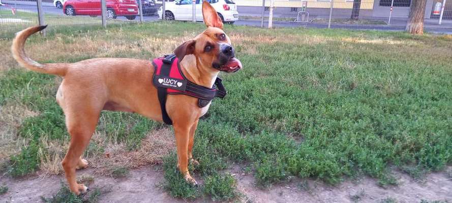 Lieblingsbild-Beitrag-Bild