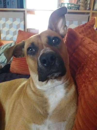 Fotochallange Nr. 57     PORTRÄT.   Beendet!!!!!!!!-Beitrag-Bild