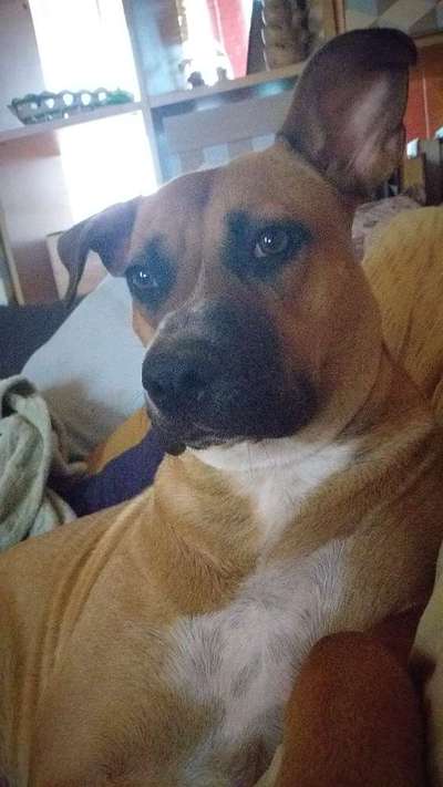 Lieblingsbild-Beitrag-Bild