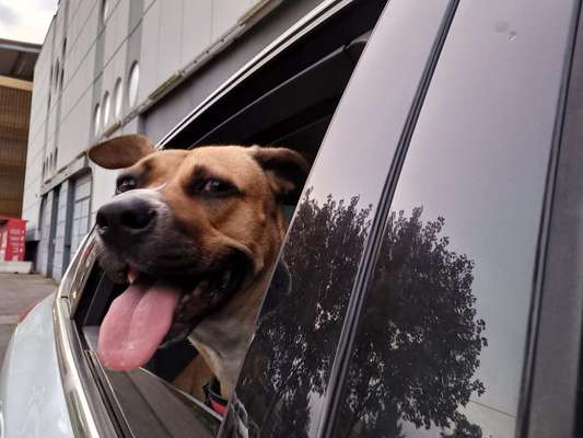 Lieblingsbild-Beitrag-Bild